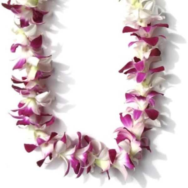Hawaiian lei