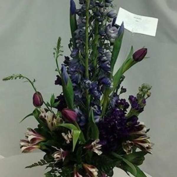 Lovely Purples