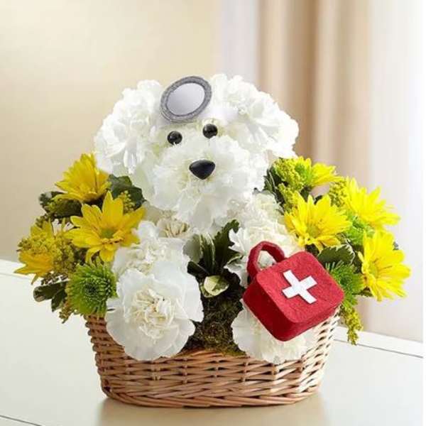 Cure-All Doggie