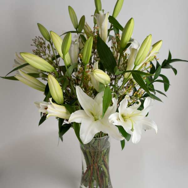 Leaping Lilies