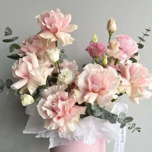 Pink mixed box.
