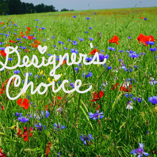 Designer's Choice