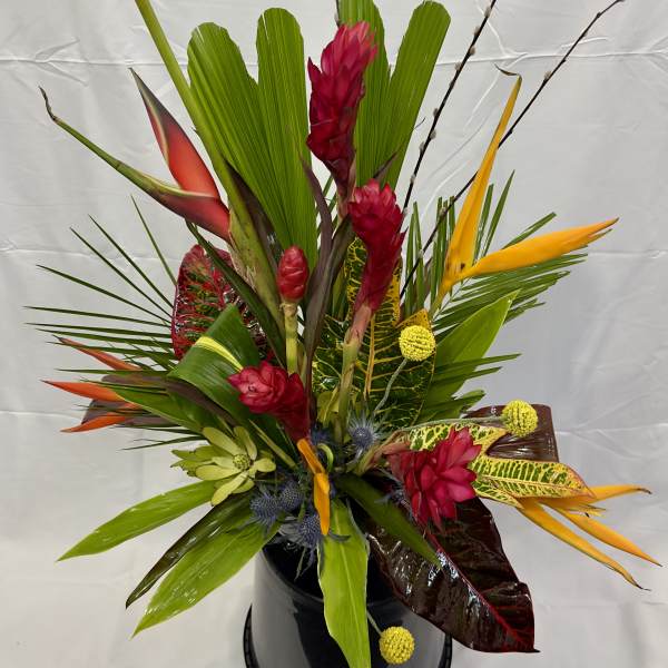 Tropical Delight
