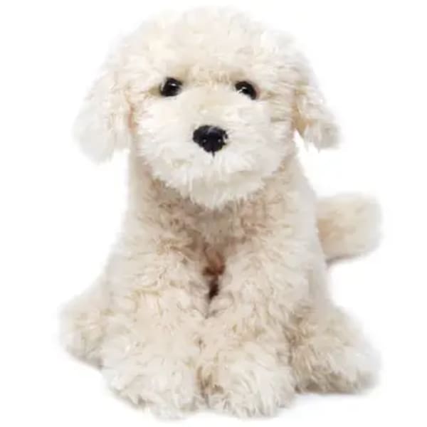 Luka the Labradoodle "Cream"