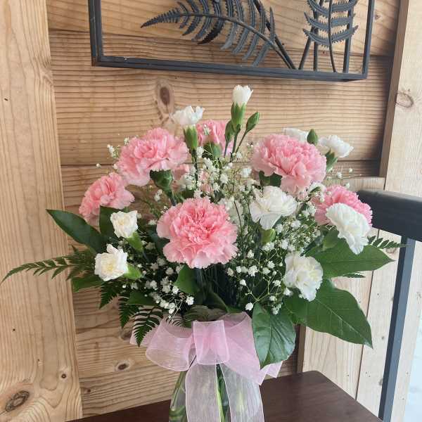Lovely Carnations