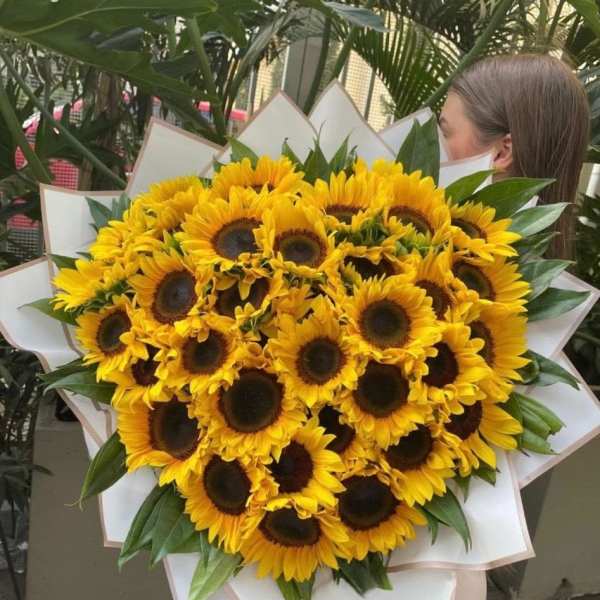 Buchon de girasoles