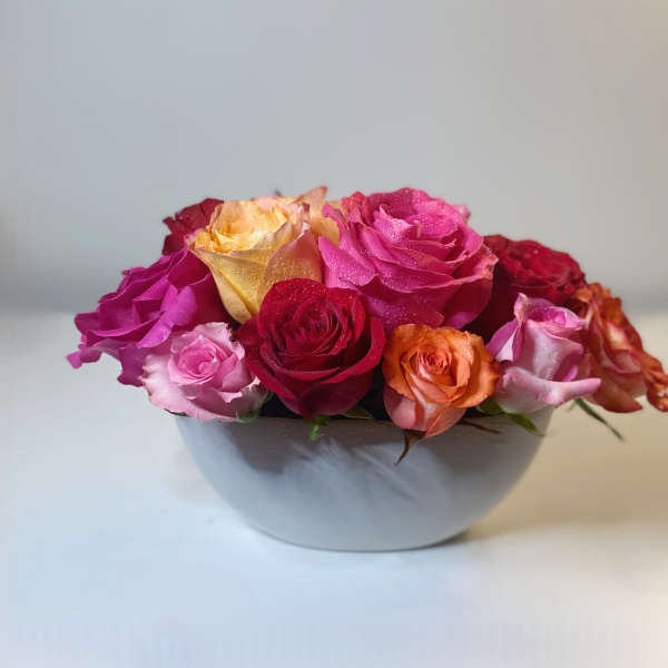 Hedge of roses