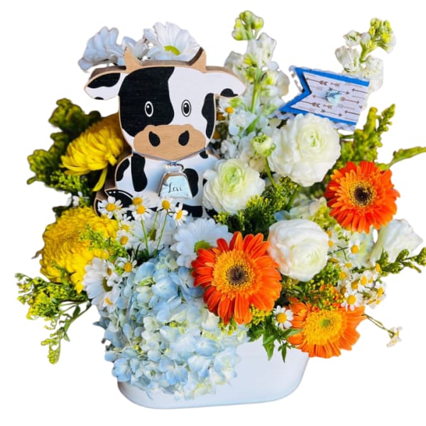 Moo-Baby