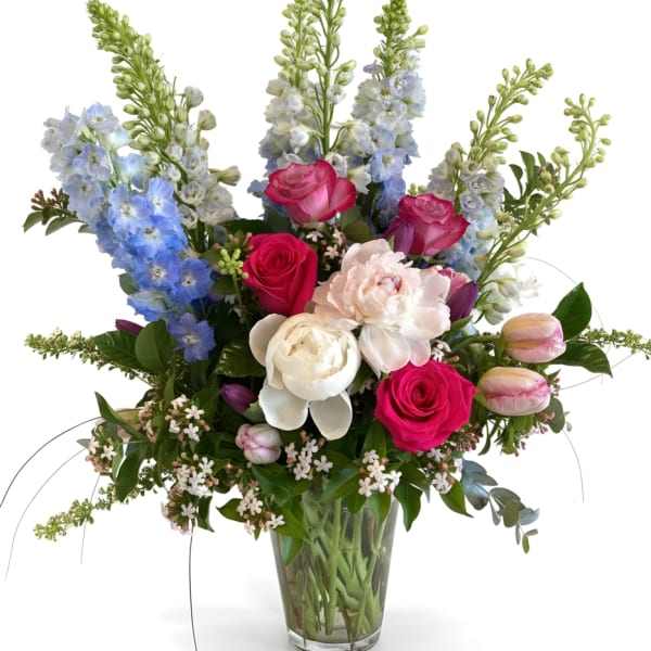 Delphinium Garden