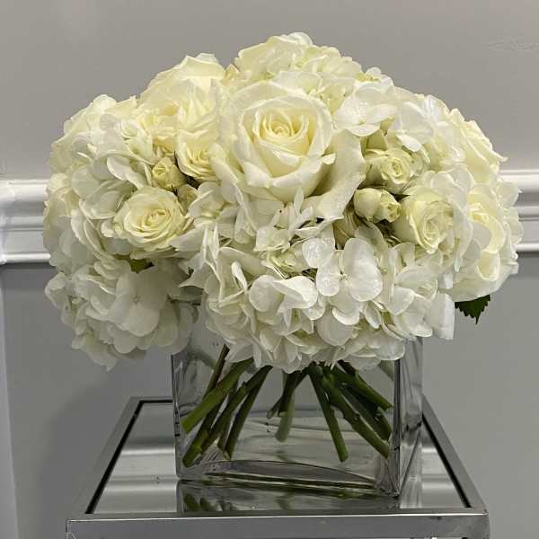 Hydrangea Me Lovely