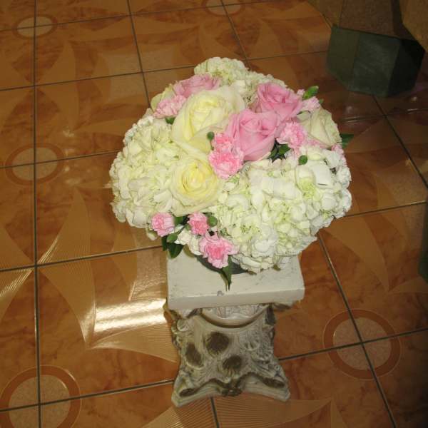 Hydrangea #17