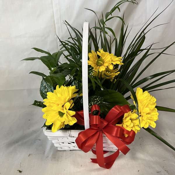 Yellow daisies in a white basket with a red bow