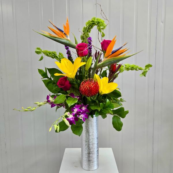 Bougie Tropics
