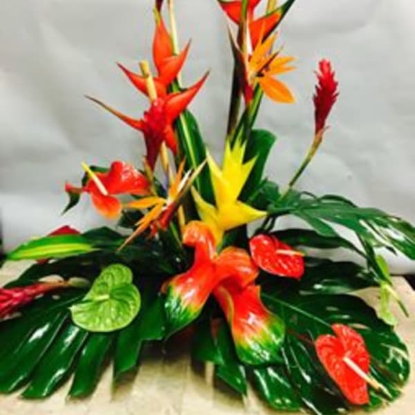 Alii Special