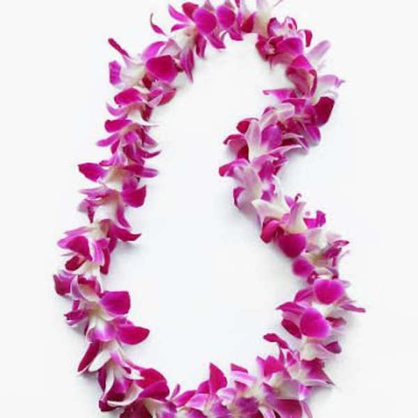 Single Purple Orchid Lei- Pre Order, arriving June 2nd