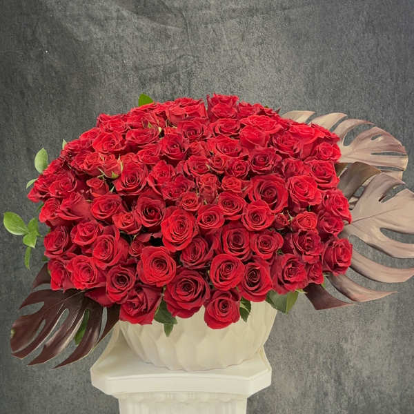 Red rose garden