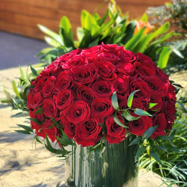 Starlit Rose
