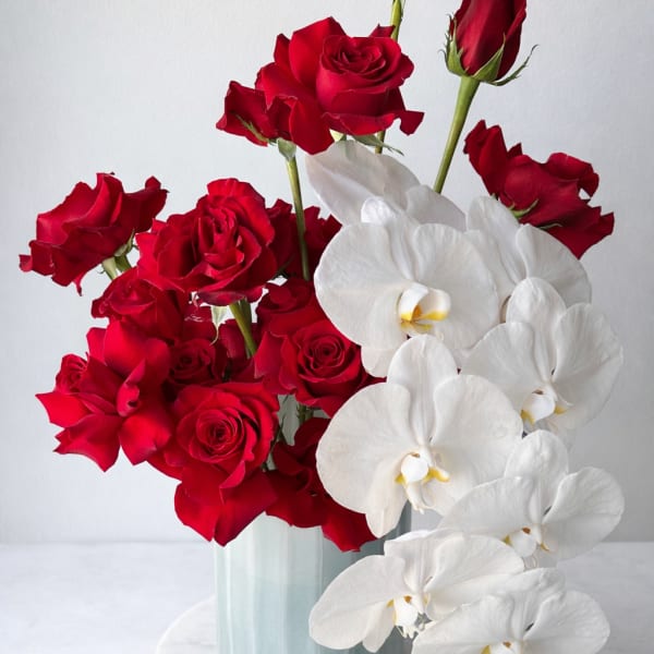 Red Vogue