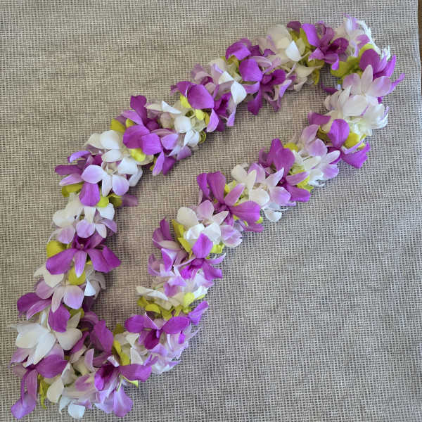 Graduation Orchids Lei (Pink & Purple)