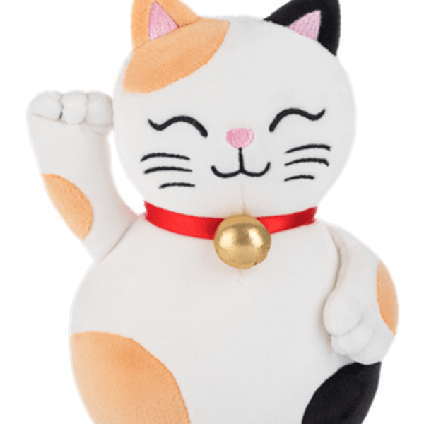 Good Luck Cat
