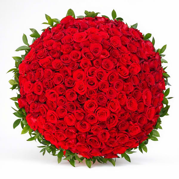 Bloom200 | 200 Long Stem Red Roses Special