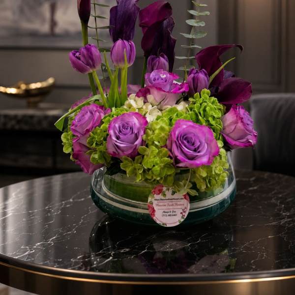 Moon NEW