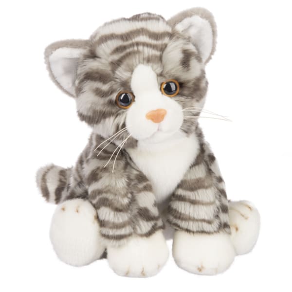 Grey Tabby Cat
