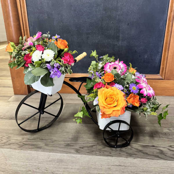 Mini Garden Tricycle Arrangement