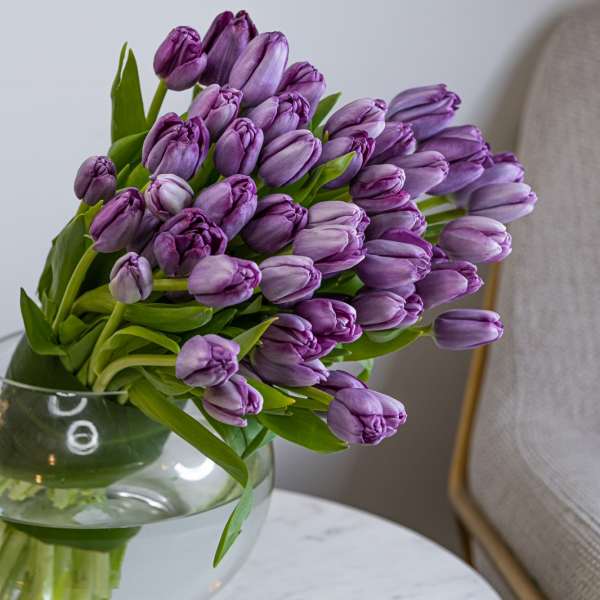Impressive Tulips