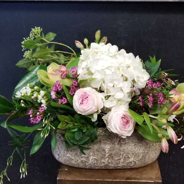 Spring Greetings