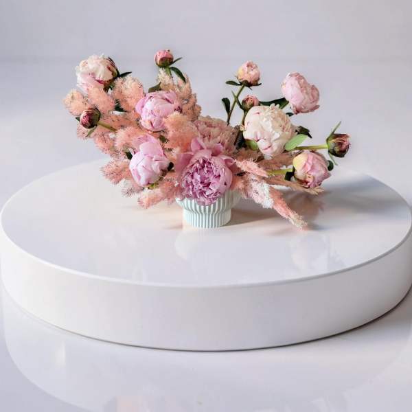 The Vanessa