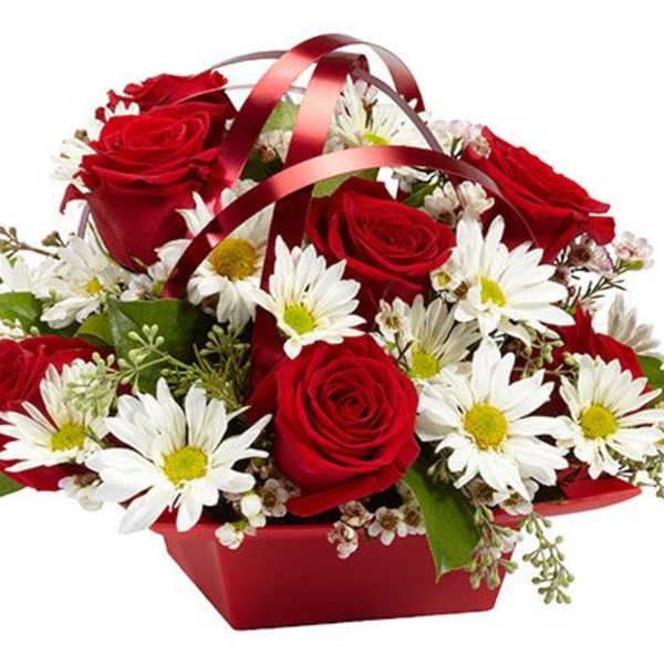 Roses and Daisies Gathering