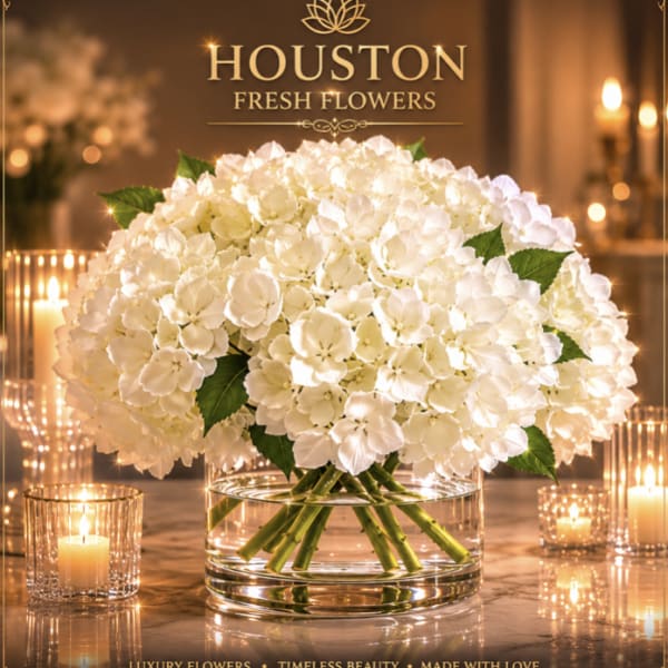 White Hydrangeas