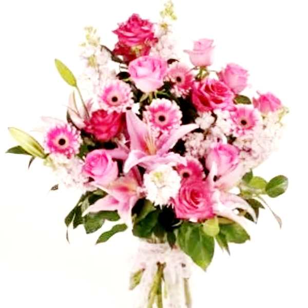 Pink Harmony