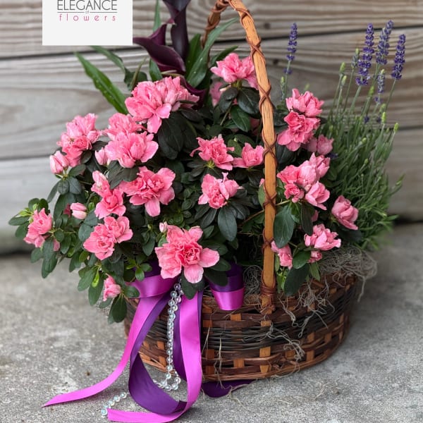 Plant Basket #1