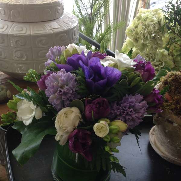 Passion for Purple