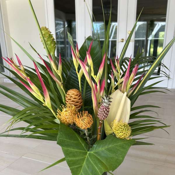 Tropical Splash