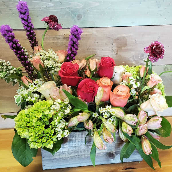 Garden Box