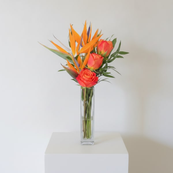 Kiss of Paradise ( birds of paradise flower and orange roses)