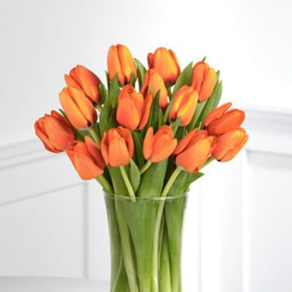 Orange tulips in a clear glass vase