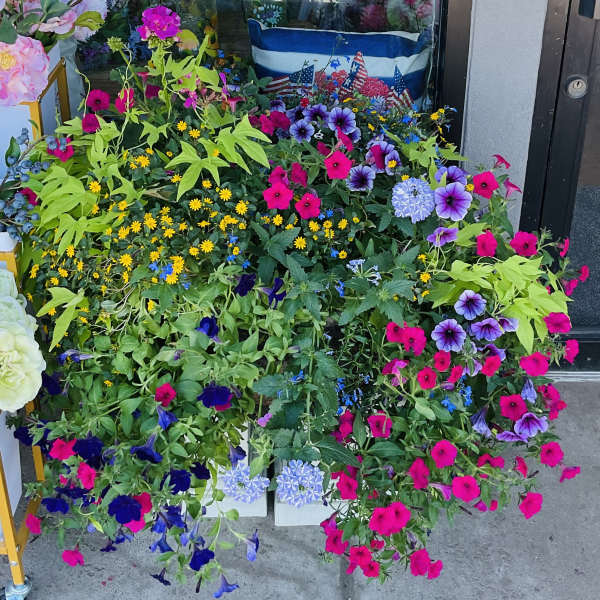 Large Outdoor planter
