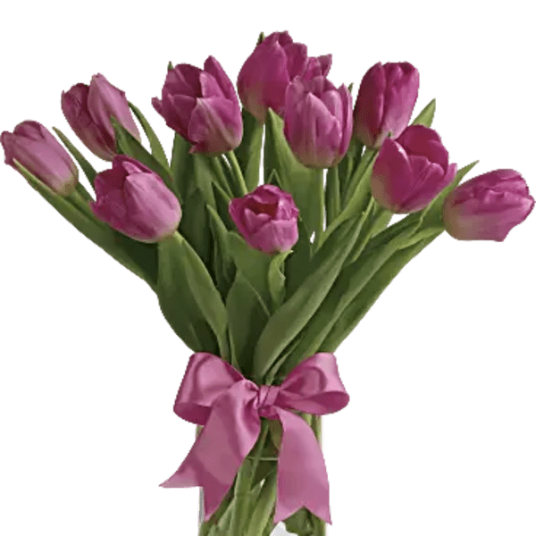 Precious Pink Tulips