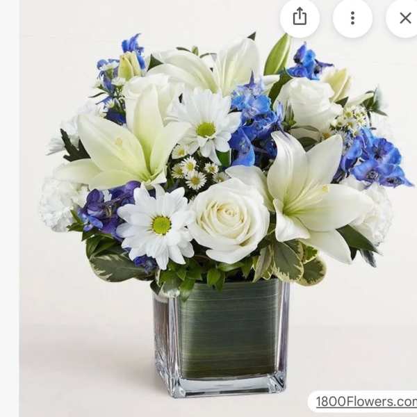 BEAUTIFUL BLUE