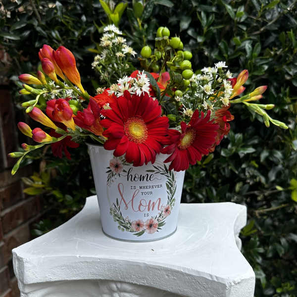 Bright Mom