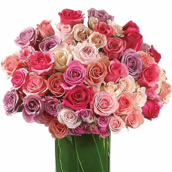Rose Rapture