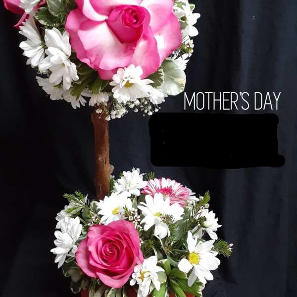 test1
