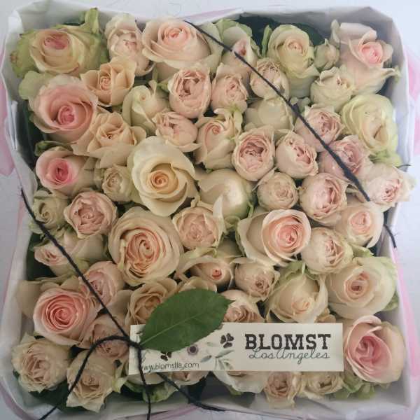 Elle Rose box