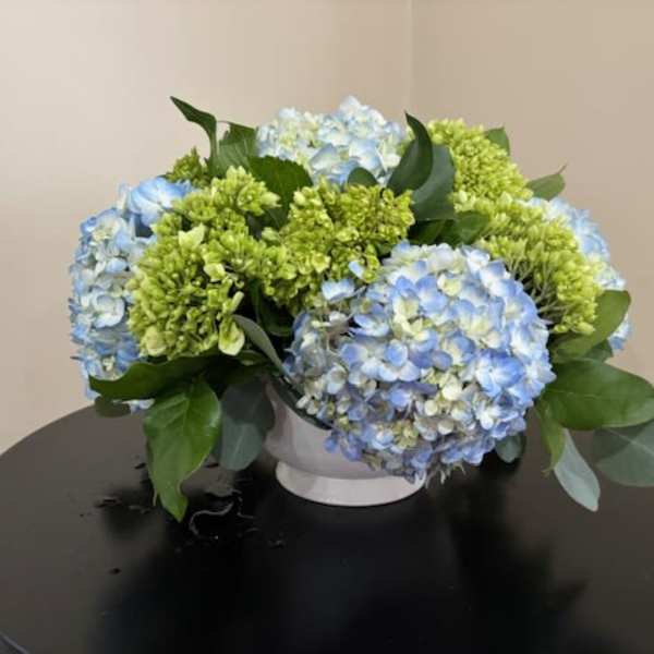 Simply Hydrangeas