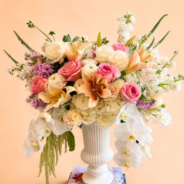 Blush Love