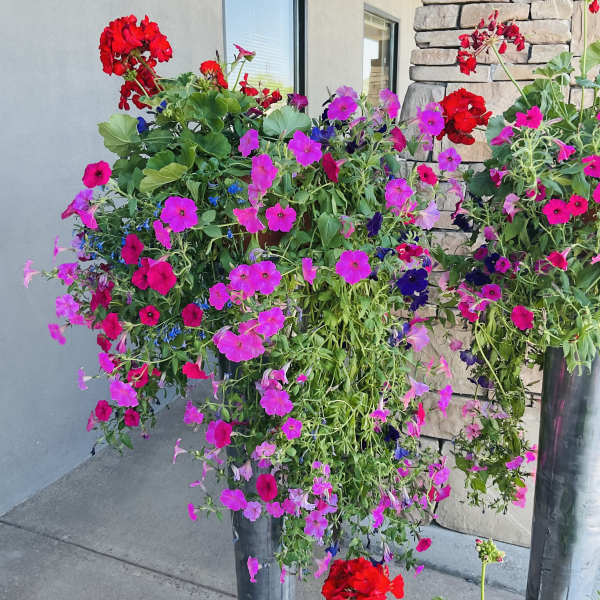Cascading Out door planter